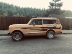 Thumbnail Photo 4 for 1979 International Harvester Scout